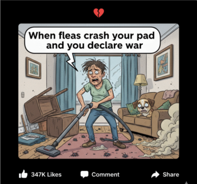 Flea Home Remedies: Your Couch Didn't Sign Up to Be a Bug Airbnb