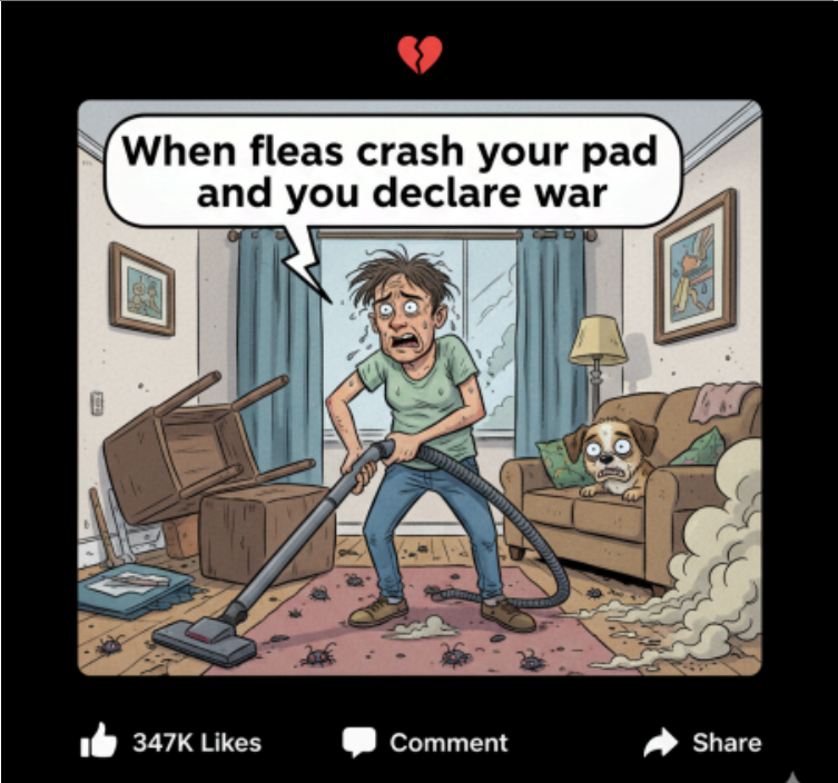 Flea Home Remedies: Your Couch Didn't Sign Up to Be a Bug Airbnb